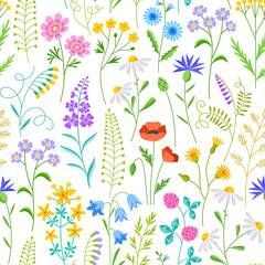 Beautiful meadow flowers pattern. Wild ornamental plants, summer blooming herbs, repeated botanical elements, vector seamless background
