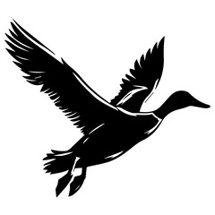 Flying Duck Vector silhouette illustration black color, Duck Vector silhouette