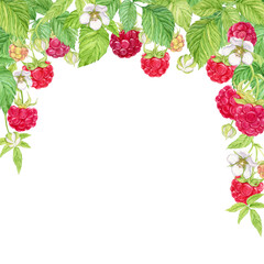 Composition of hanging raspberry branches. Watercolor red berries grow on branches, green leaves and flowers. Hanging from above is a bunch of garden berries, a harvest of natural products.