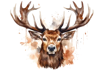 Poster Christmas elk deer,head of deer watercolor vector illustration,elk head with big horns © LeoOrigami