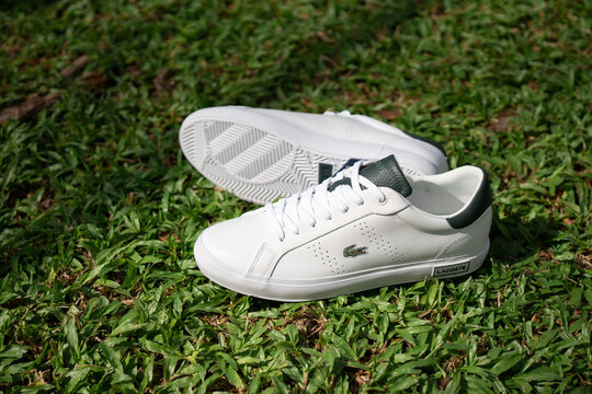 Bangkok, Thailand - November 5,2023 : White sneakers by Lacoste model powercourt 2.0 white and dark green on lawn background.