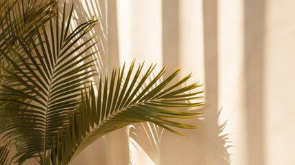 The tropical palm tree's lush leaves create captivating silhouettes against the vibrant old rose coral-colored wall.