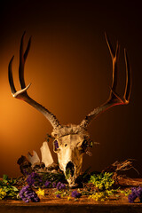 deer skull with antlers fine art photo with dead flowers death scary spooky 