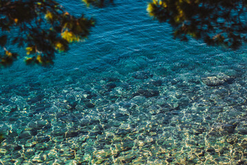 Crystal clear Adriatic sea water in Croatia. Transparent water on the coast of Croatian riviera