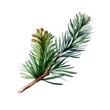 Watercolor pine cone and branch, generative ai.