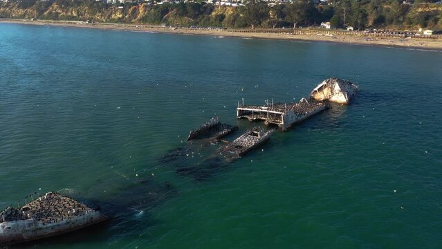 Drone shot around a sunken ship full of birds, in sunny California, USA