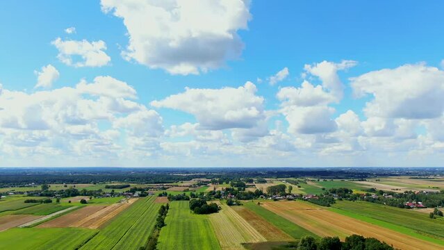 Bird's eye view of agricultural area and green wavy fields in sunny day. Agronomic industry. Agrarian region Europe. Cinematic aerial shot. Beauty of earth. Filmed in UHD 4k, drone video.