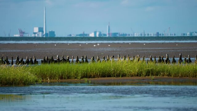 Lush green grass and sandy shallows of the Danish coast. An industrial landscape of town Esbjerg in the background. Parallax video.