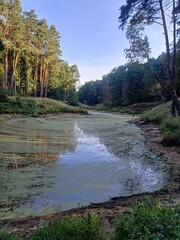 Wysychające jeziorko © Joanna