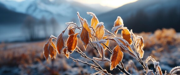 Frozen Forsythia Red Leaves First Frosts , Background Image For Website, Background Images , Desktop Wallpaper Hd Images
