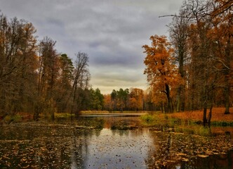 autumn in the park