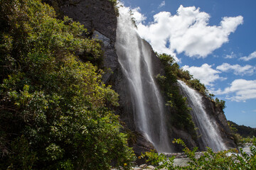 Fototapeta premium Westland Tai Poutini National Park, South Island, New Zealand