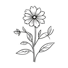 line drawing, line art png, line art prints, spring clipart, line art rose, rose clipart, floral svg, flower png, wildflower svg, flower clipart, bouquet svg, tattoo svg, line art, svg files, svg file