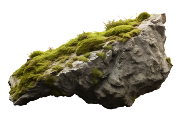 Overgrown lichen on a rock. isolated object, transparent background