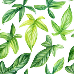 Green leaves pattern watercolor, tropical seamless pattern for textile, decoration. Hand drawn painted exotic plants. © Hanna