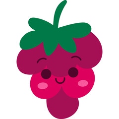 raspberry