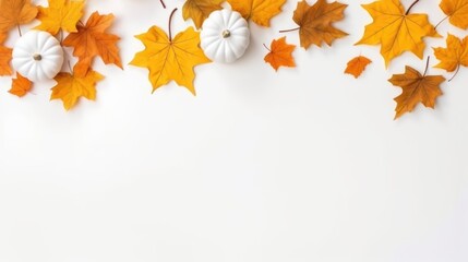 autumn leaves and pumpkins on white background.