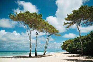 Tropical Beach with Tall Trees and Blue Sky