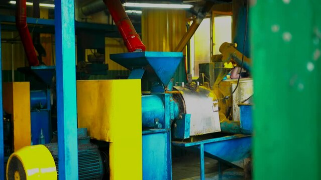 rapeseed oil. workshop for direct extraction of rapeseed. pressing and processing the plant into rapeseed oil. production.