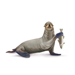 Obraz premium illustration d'un otarie qui tiens un poisson dansa main morue