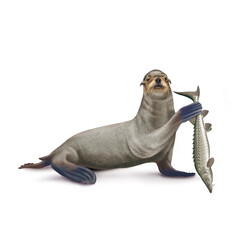 illustration d'un otarie qui tiens un poisson dansa main esturgeon