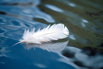 White feather floating water. Float animal soft feather detail. Generate Ai