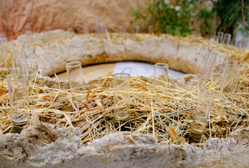 Glass test tubes in dry grass. Original composition.