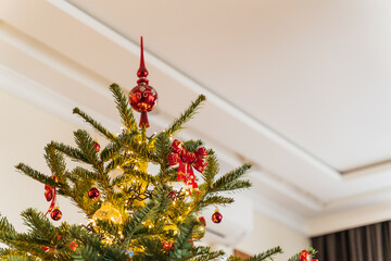 Beautifully decorated indoor living Christmas tree with a red topper on top, with copy space