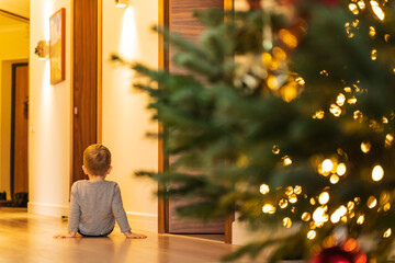 A boy sits in a room with his back to the New Year tree. Upset about the birthday party and...