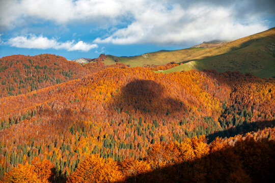 Deciduous forest in mid-autumn in the eastern valleys of the Navarrese Pyrenees, from the port of Laza in Navarra, Spain with a heart that is formed with the shadow of the clouds © AntonioLopez