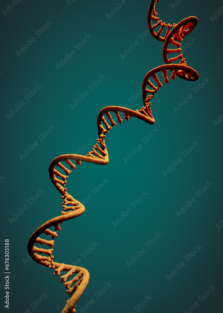 Wall mural Single-stranded molecule of RNA called messenger ribonucleic acid - 3d illustration