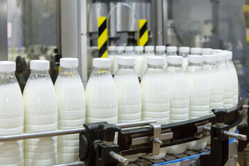 Factory producing milk or yogurt in to plastic bottles on conveyor line. Equipment at dairy plant....