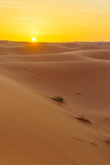 Fototapeta na wymiar Sunset over the sand dunes, in Merzouga