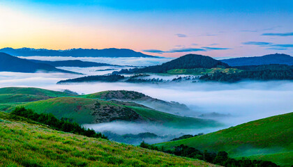 Rolling hills blanketed in fog, creating an air of tranquility and stillness just after dawn