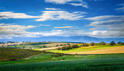 Tranquil scene reflecting simplicity rural lifestyle; fertile green fields set beneath endless sapphire sky