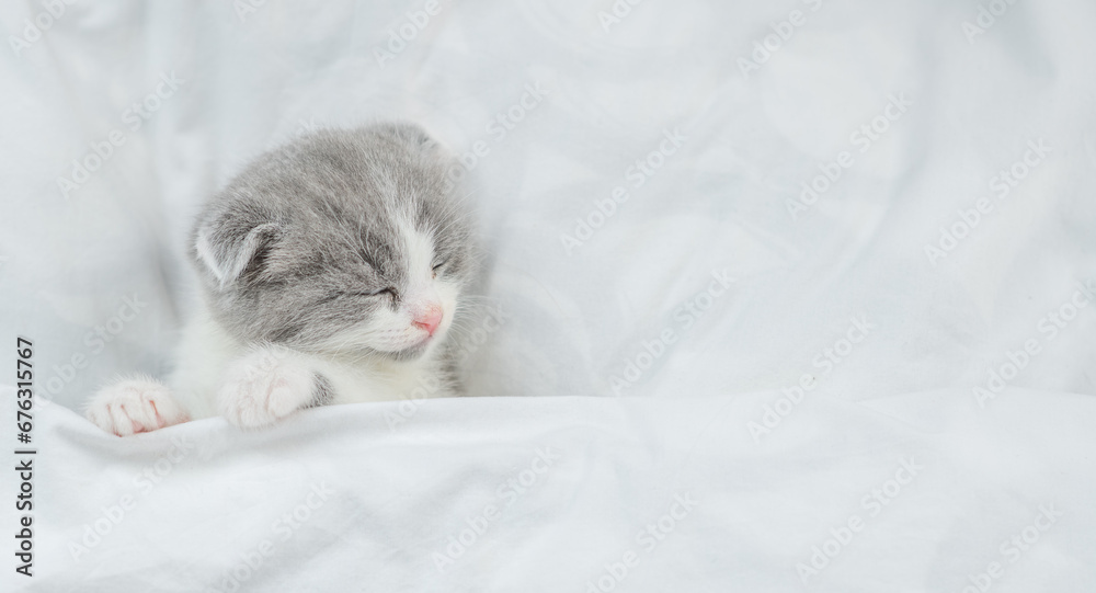 Aufkleber Cute tiny kitten sleeps under blanket on a bed at home. Top down view. Empty space for text