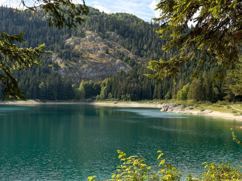 Landscape mountain lake and forest around framed by branches as a picture