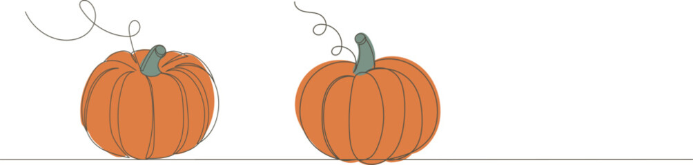pumpkin sketch, continuous line drawing, vector
