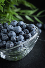 Blueberry antioxidant organic in a bowl.