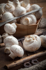 Freshly harvested mushrooms.