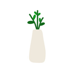 plant in a vase