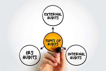 Types of Audits - important part of a customer-supplier partnership, mind map concept for...