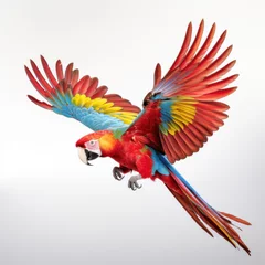 Schilderijen op glas A colorful parrot flying on white background. © tong2530