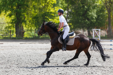 Young sportswoman riding horse on her showjumping course