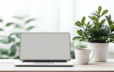 Fototapeta premium laptop, coffee cup and plant on white wooden table, office work concept