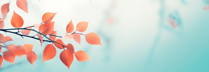 Horizontal winter background, with frozen branch with autumn leaves, copy space for text  