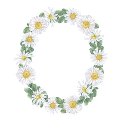 Daisy flower oval Wreath. Watercolor botanical illustration of Chamomile and leaf. Hand drawn clip art on isolated background. Drawing of white bouquet frame border for cards and logo