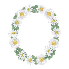 Obraz premium Daisy flower oval Wreath. Watercolor botanical illustration of Chamomile and leaf. Hand drawn clip art on isolated background. Drawing of white bouquet frame border for cards and logo
