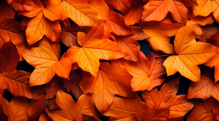 Fall leaves background with orange colorful leaves filling ebtire frame 