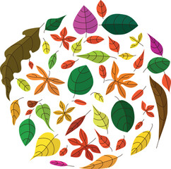 Abstract botanical art, vector illustration, illustration leaves, leaves desing for logo, print, wellpaper. Cute element.